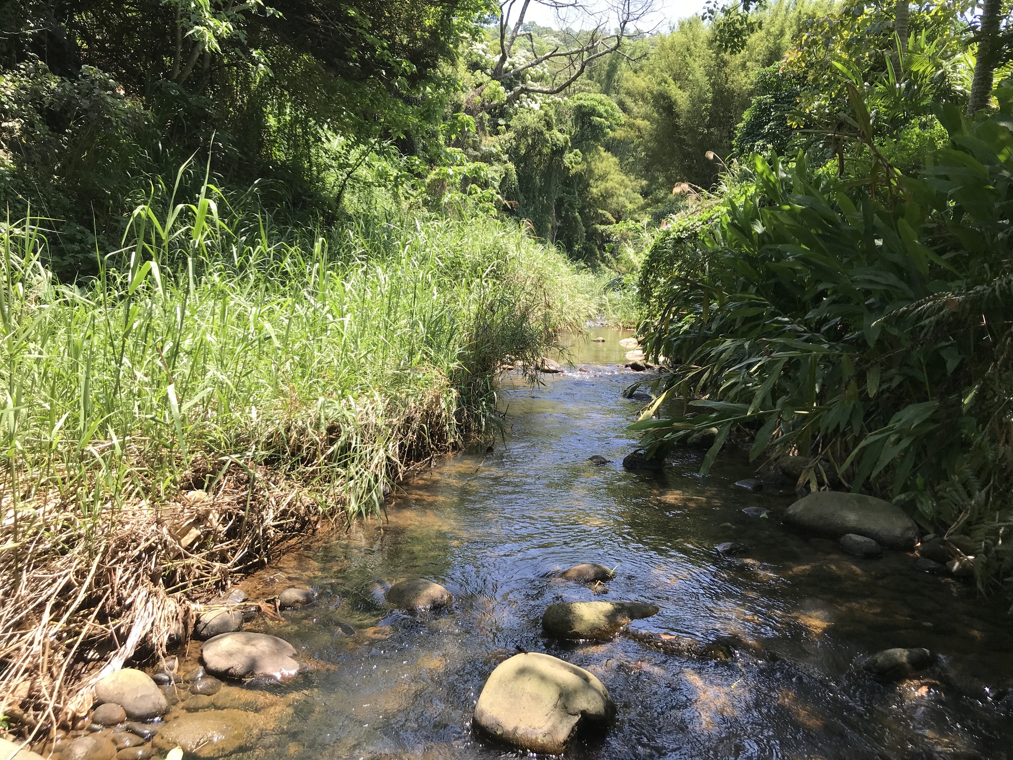 牽起河溪守護網2