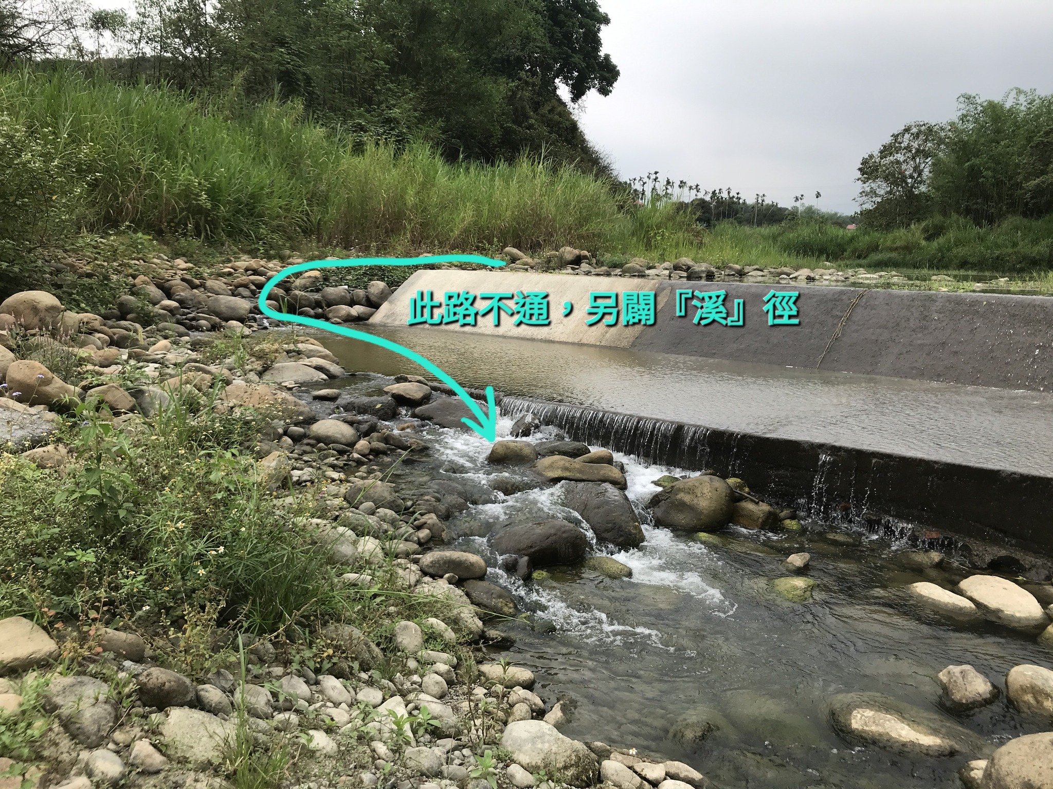 牽起河溪守護網—南投中寮金材柑仔店 2