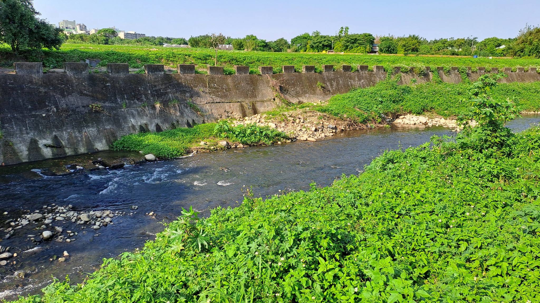 牽起河溪守護網3