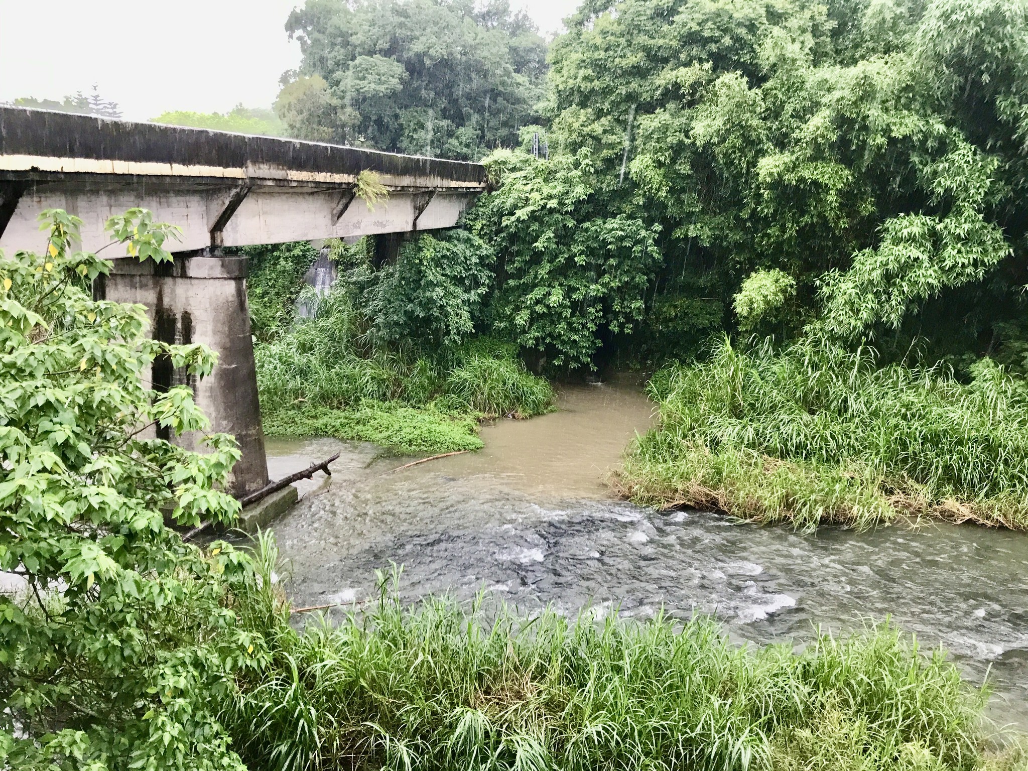 牽起河溪守護網——新竹峨眉滾回家 