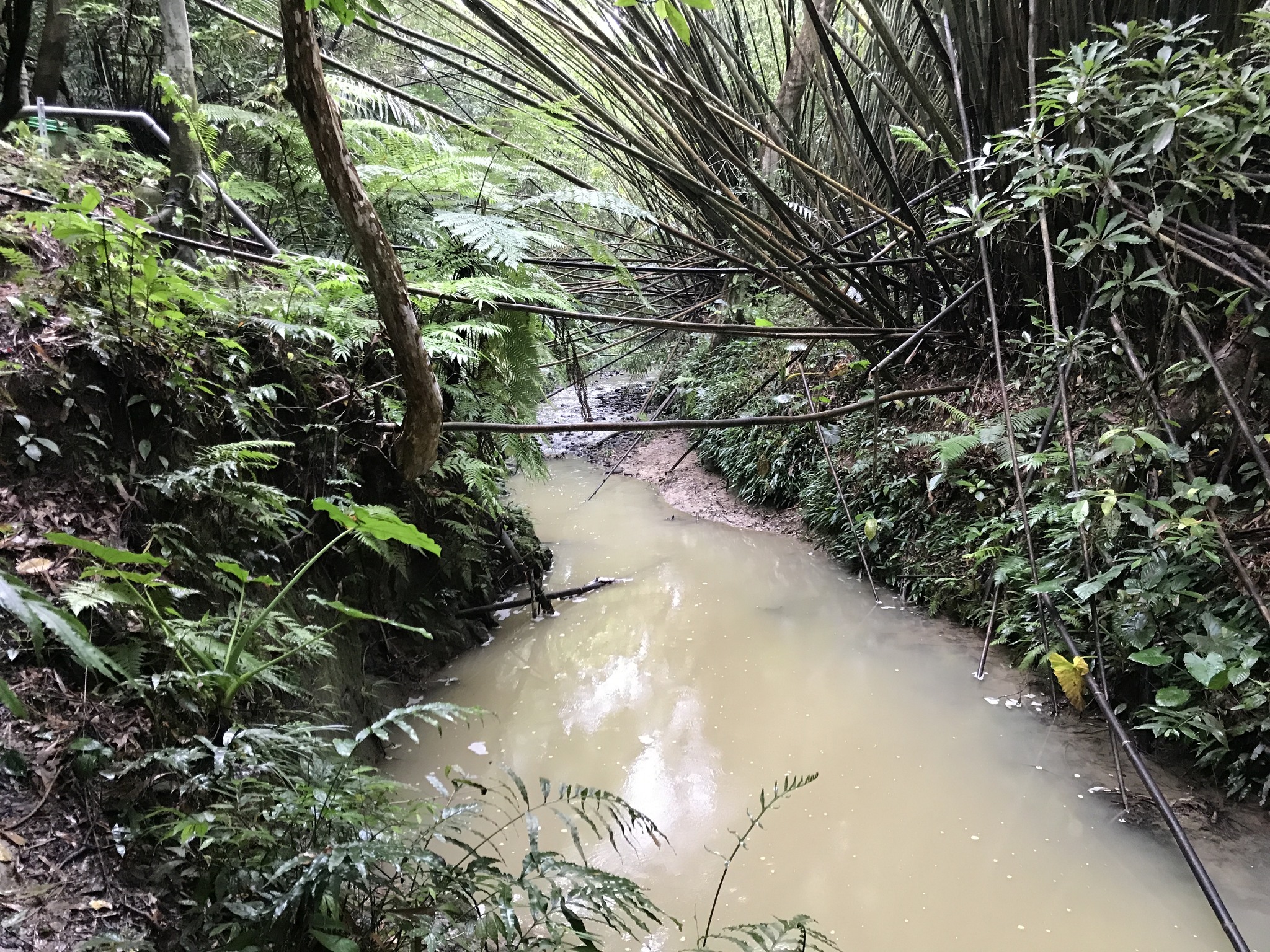 牽起河溪守護網——新竹峨眉滾回家 