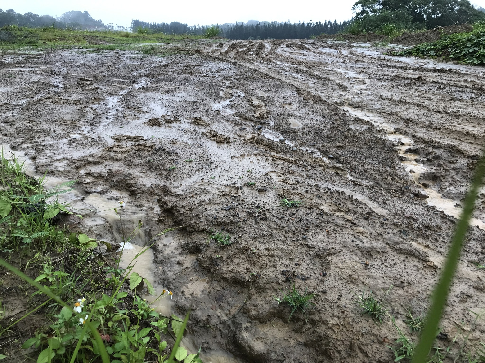 牽起河溪守護網——新竹峨眉滾回家 