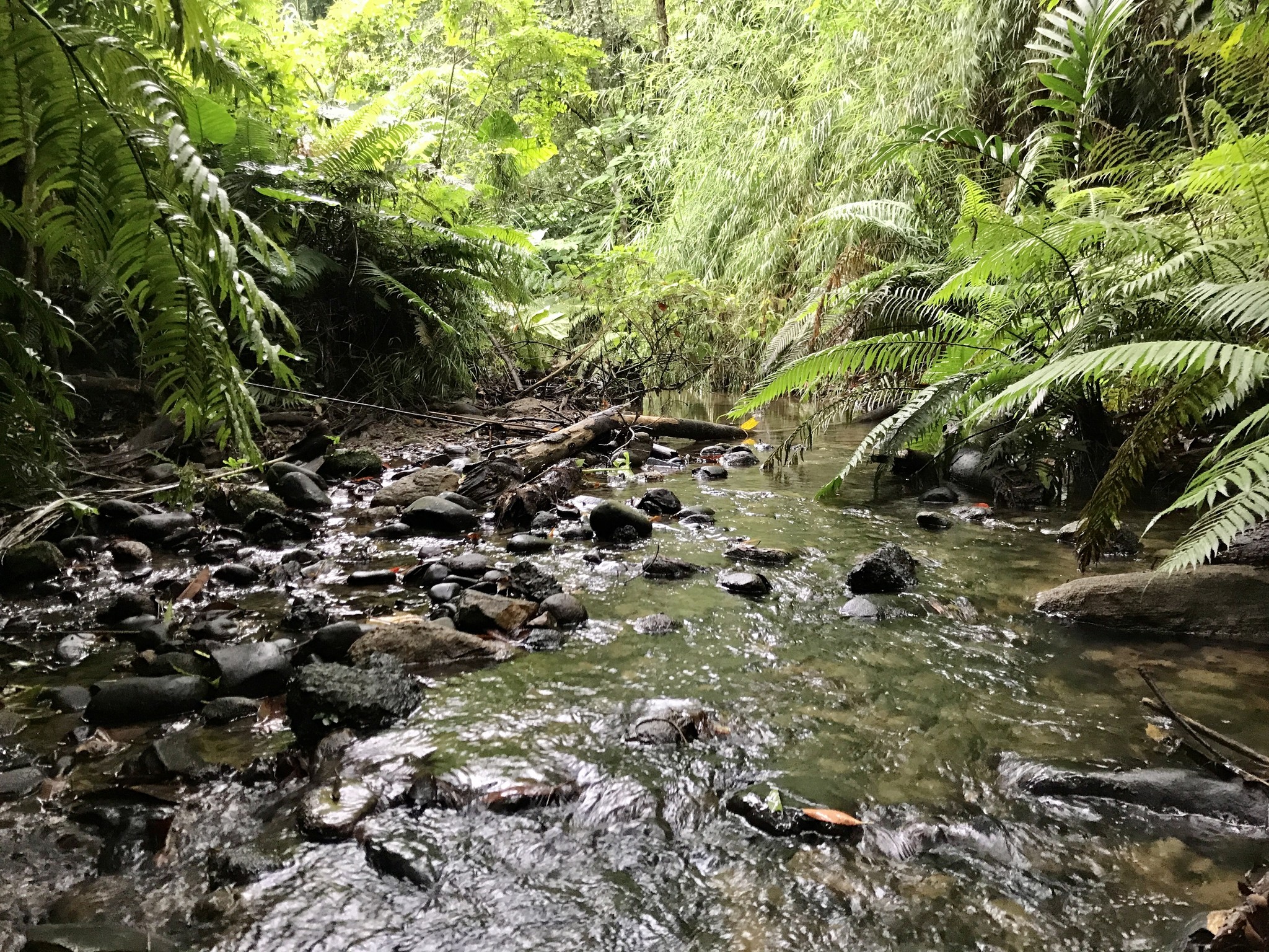 牽起河溪守護網——新竹峨眉滾回家 